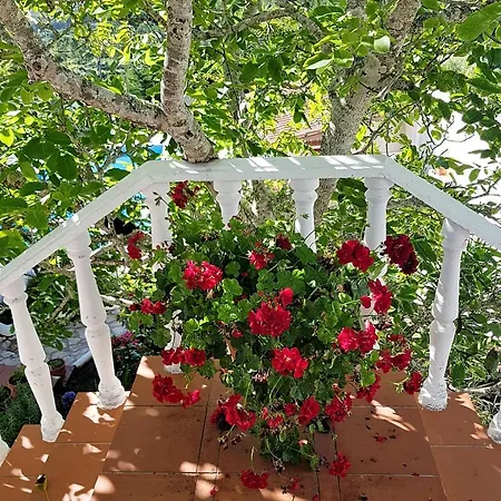 Casa Margaridas Casa de hóspedes Caldas Da Rainha